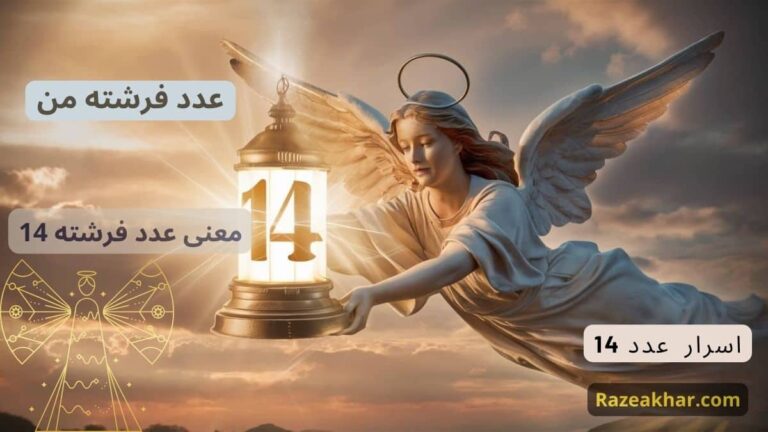 معنی عدد 14