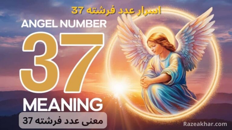 معنی عدد 37